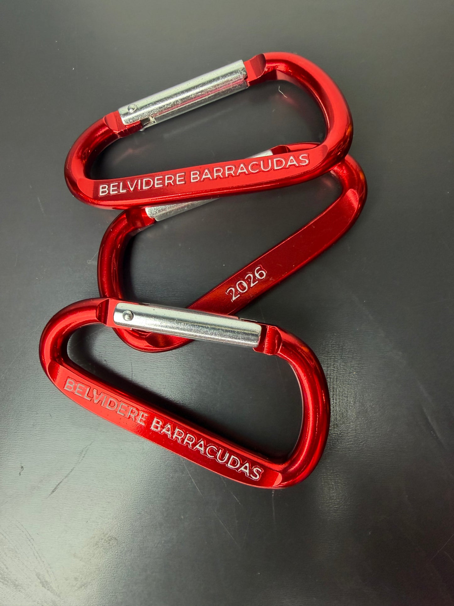 Barracudas Carabiner Clip