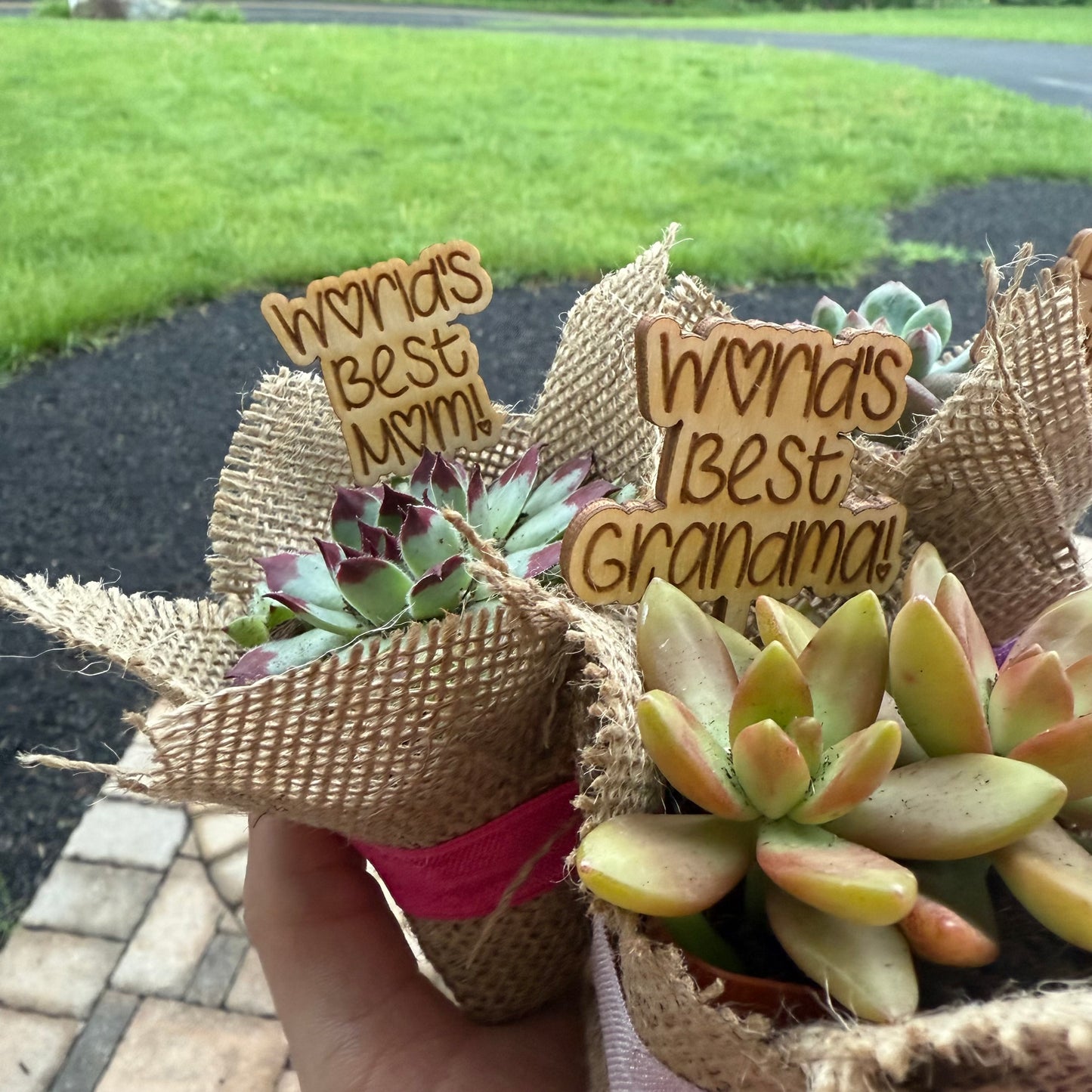 *PRE-ORDER* Mother's Day Succulents- FOR LOCAL PICKUP ONLY