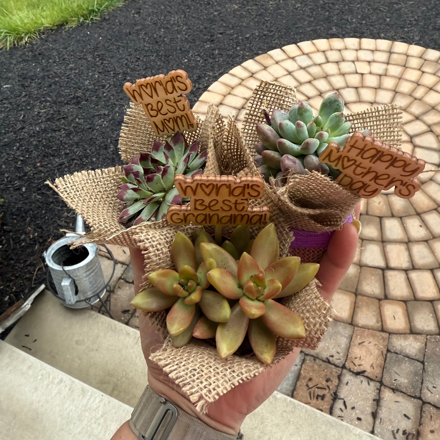 *PRE-ORDER* Mother's Day Succulents- FOR LOCAL PICKUP ONLY