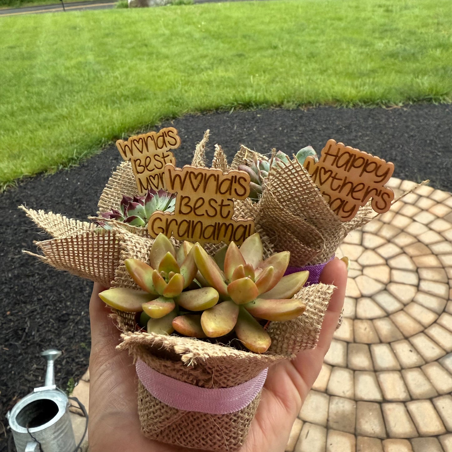*PRE-ORDER* Mother's Day Succulents- FOR LOCAL PICKUP ONLY