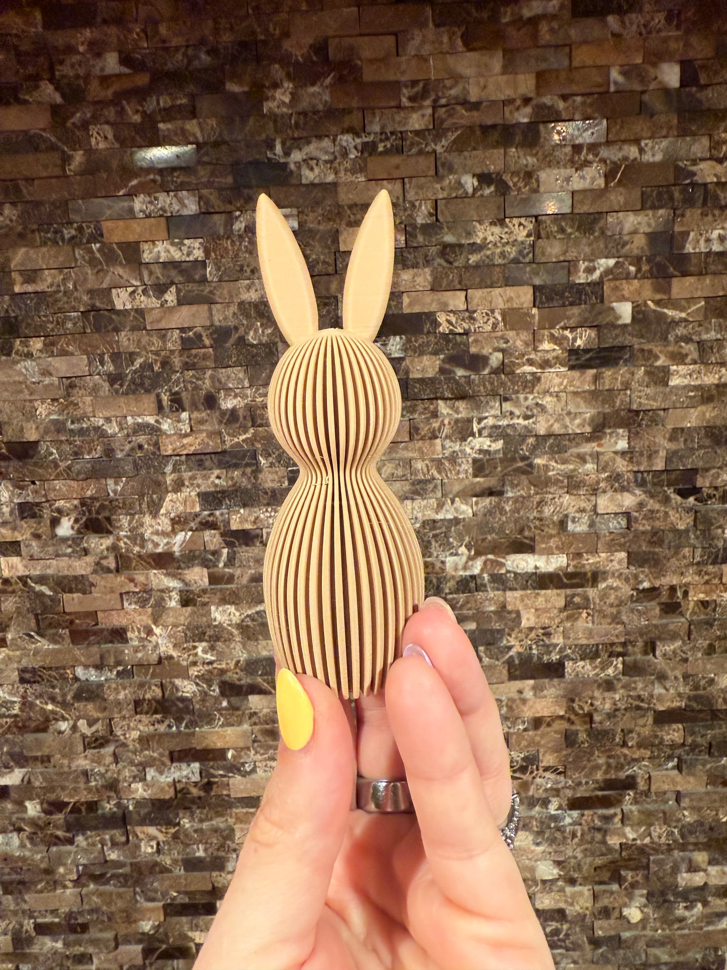 3-D Bunny