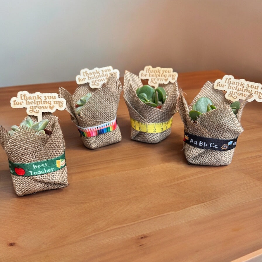 *PRE-ORDER* Teacher Appreciation Succulents- FOR LOCAL PICKUP ONLY