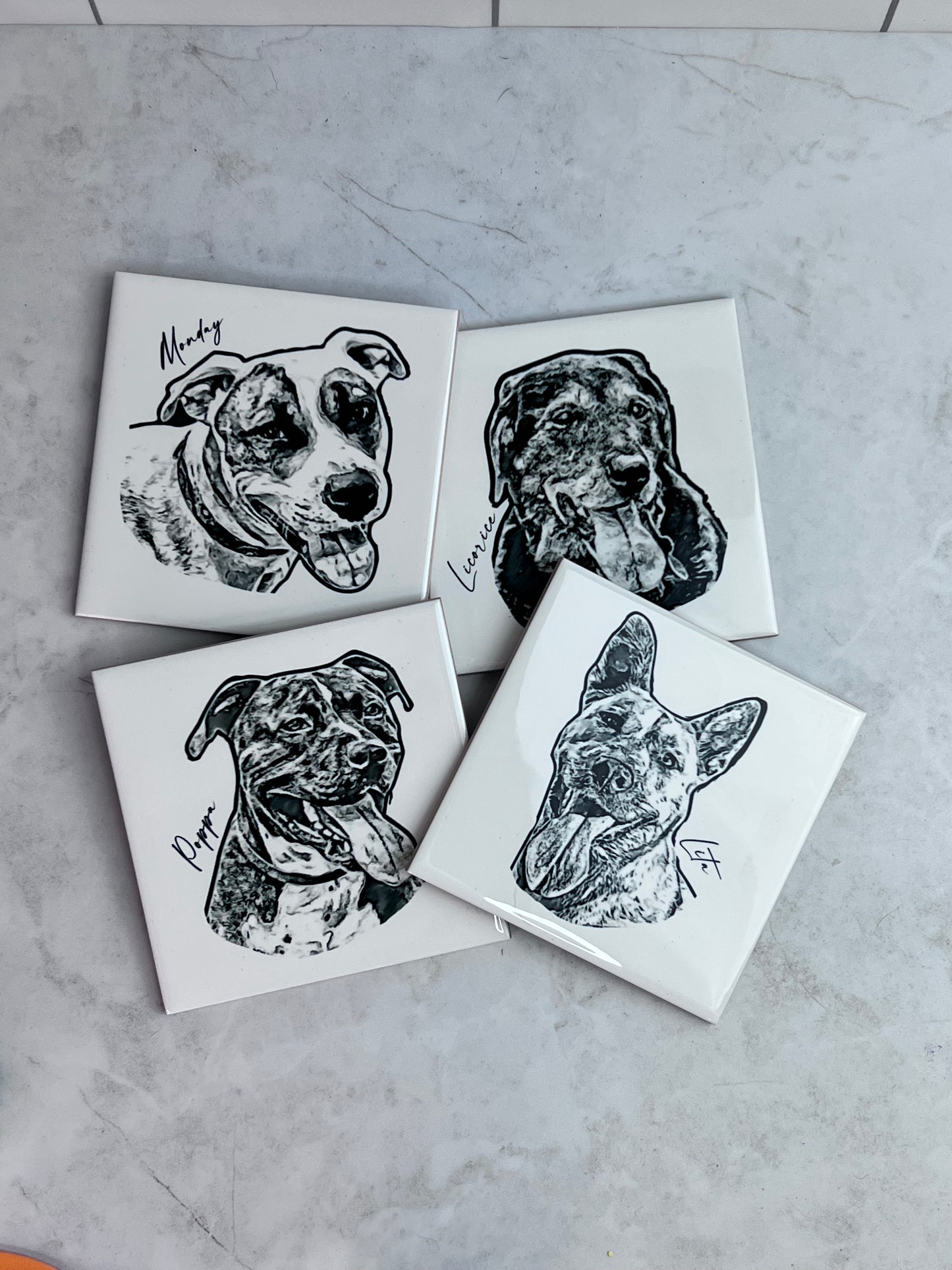 Custom Pet Photo Coasters