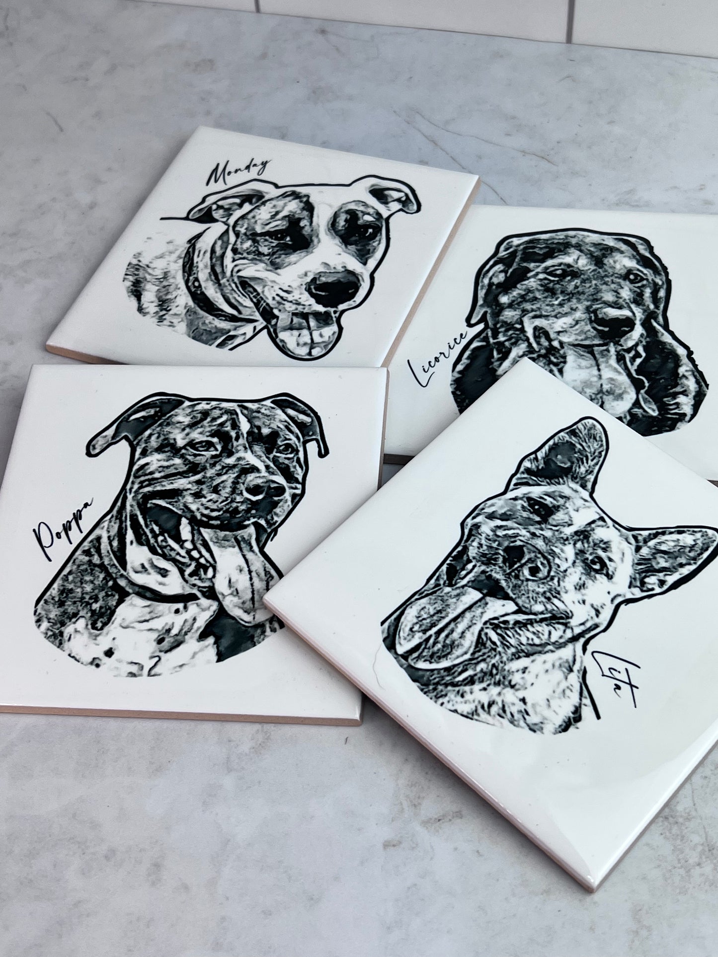 Custom Pet Photo Coasters