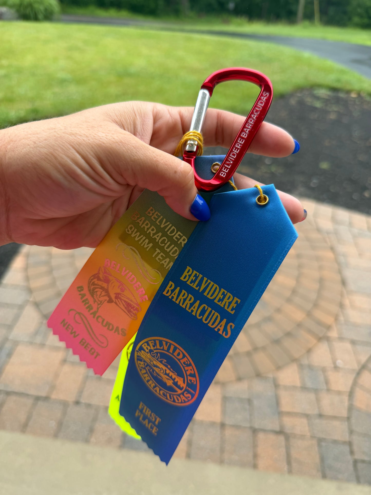 Barracudas Carabiner Clip