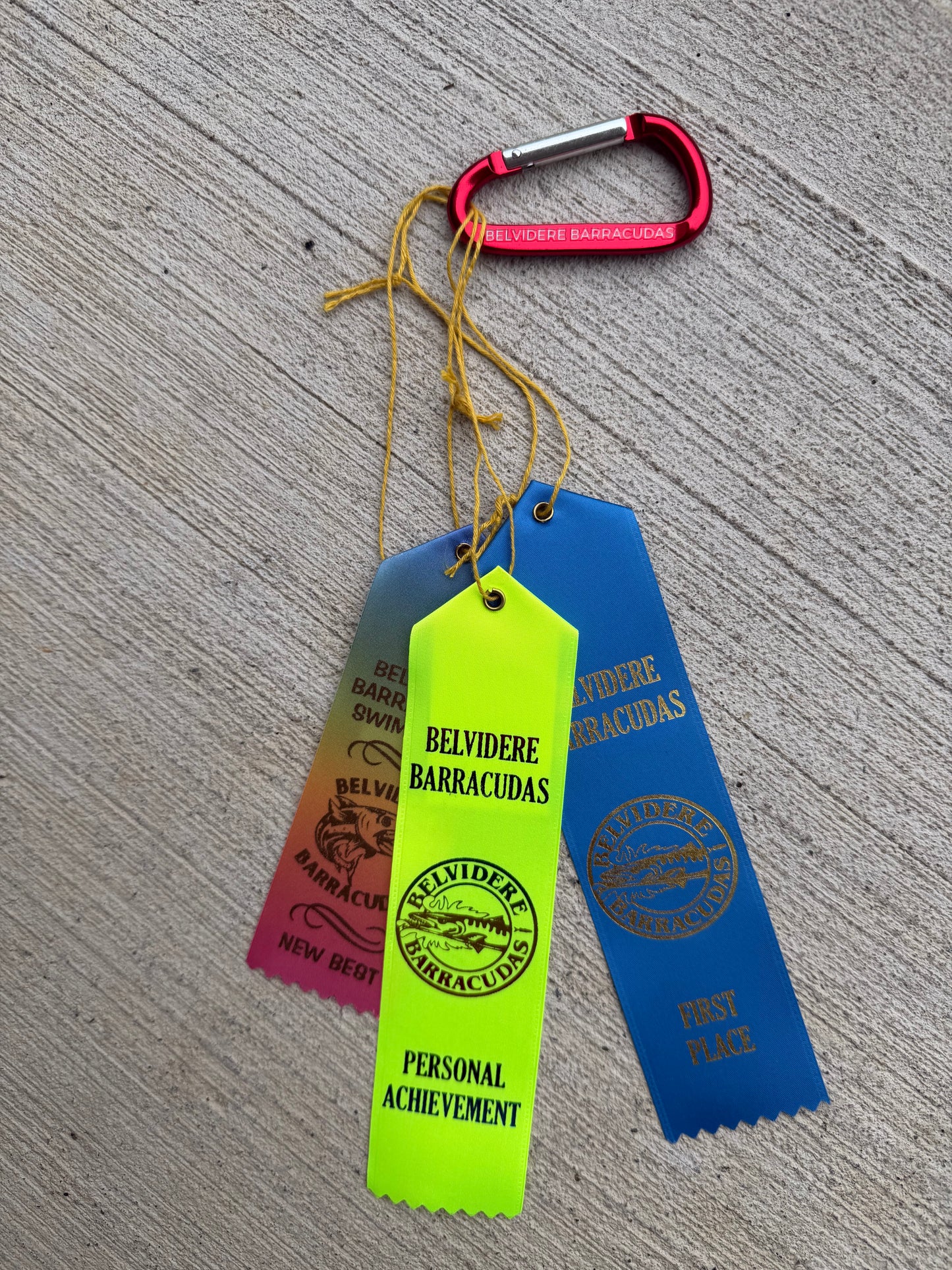 Barracudas Carabiner Clip