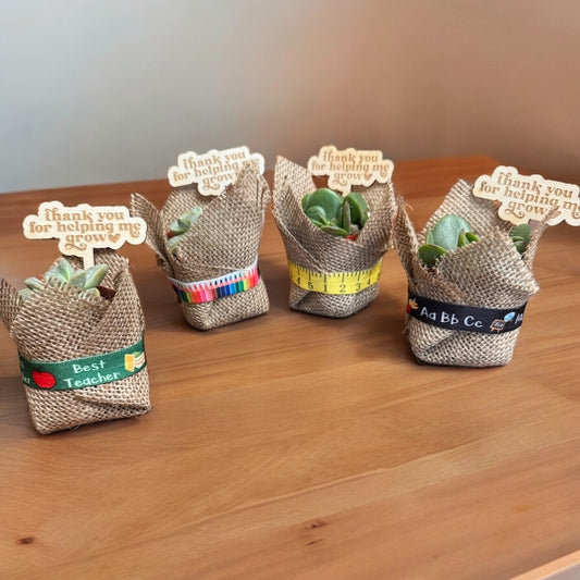 Teacher Appreciation Succulents- FOR LOCAL PICKUP ONLY