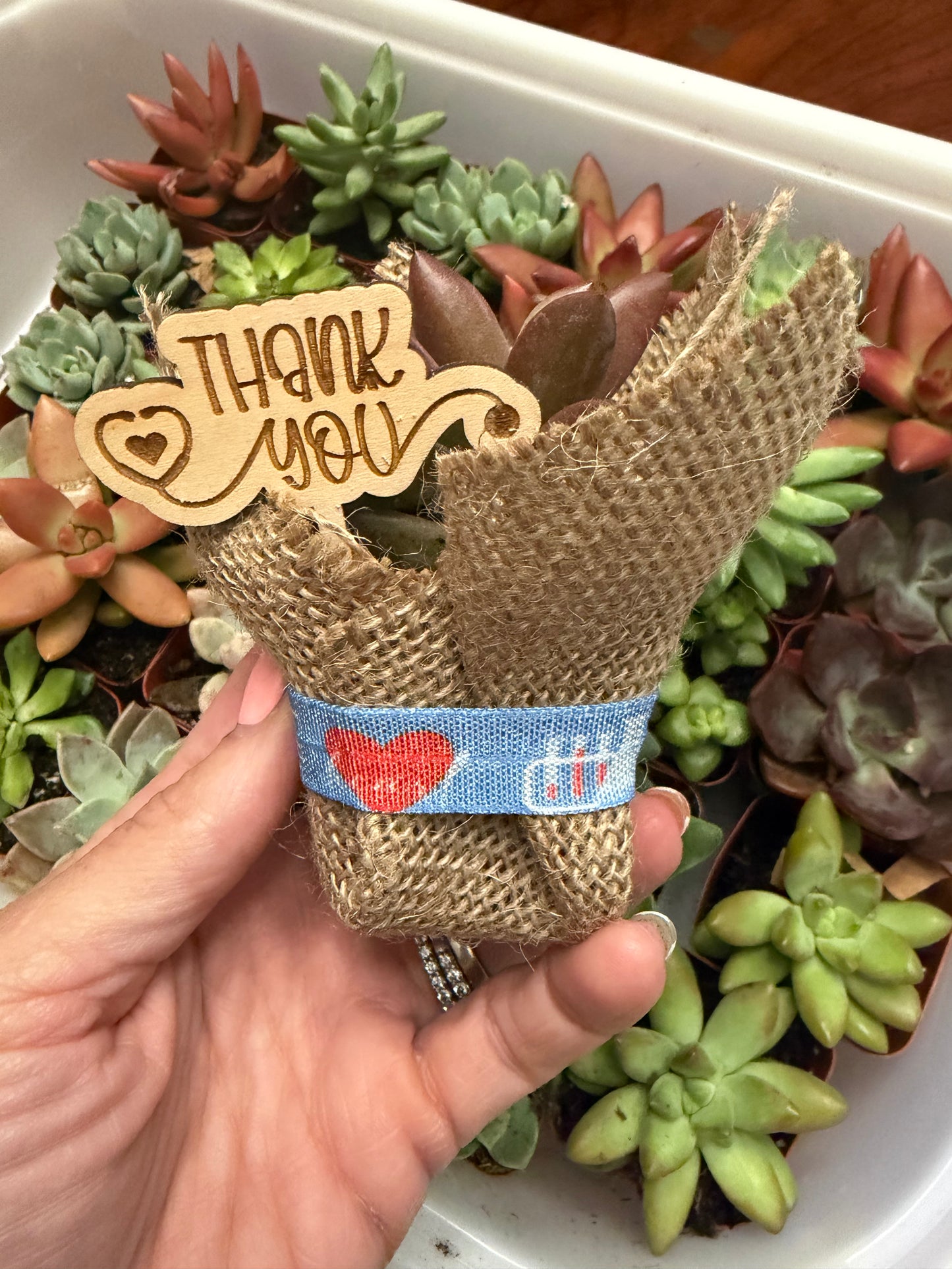 *PRE-ORDER* Nurse Appreciation Week Succulents- FOR LOCAL PICKUP ONLY