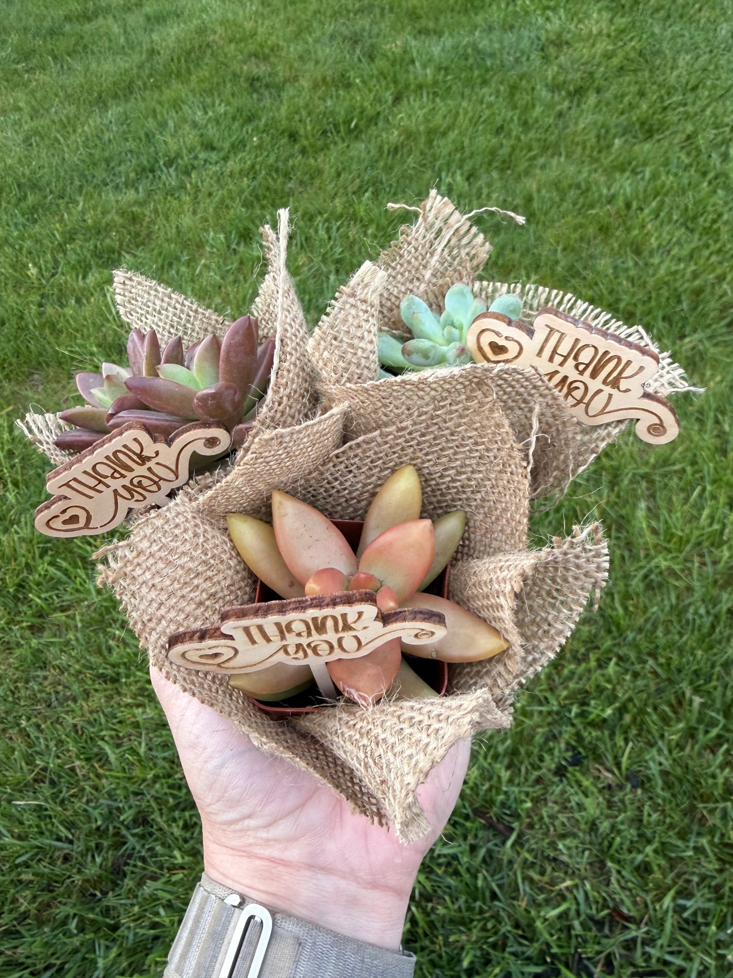 *PRE-ORDER* Nurse Appreciation Week Succulents- FOR LOCAL PICKUP ONLY