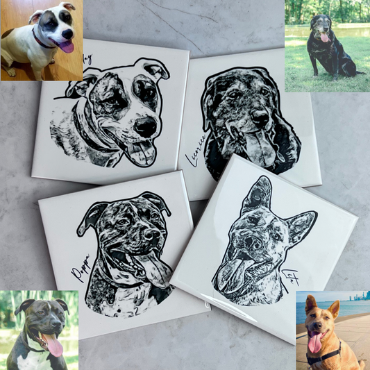 Custom Pet Photo Coasters