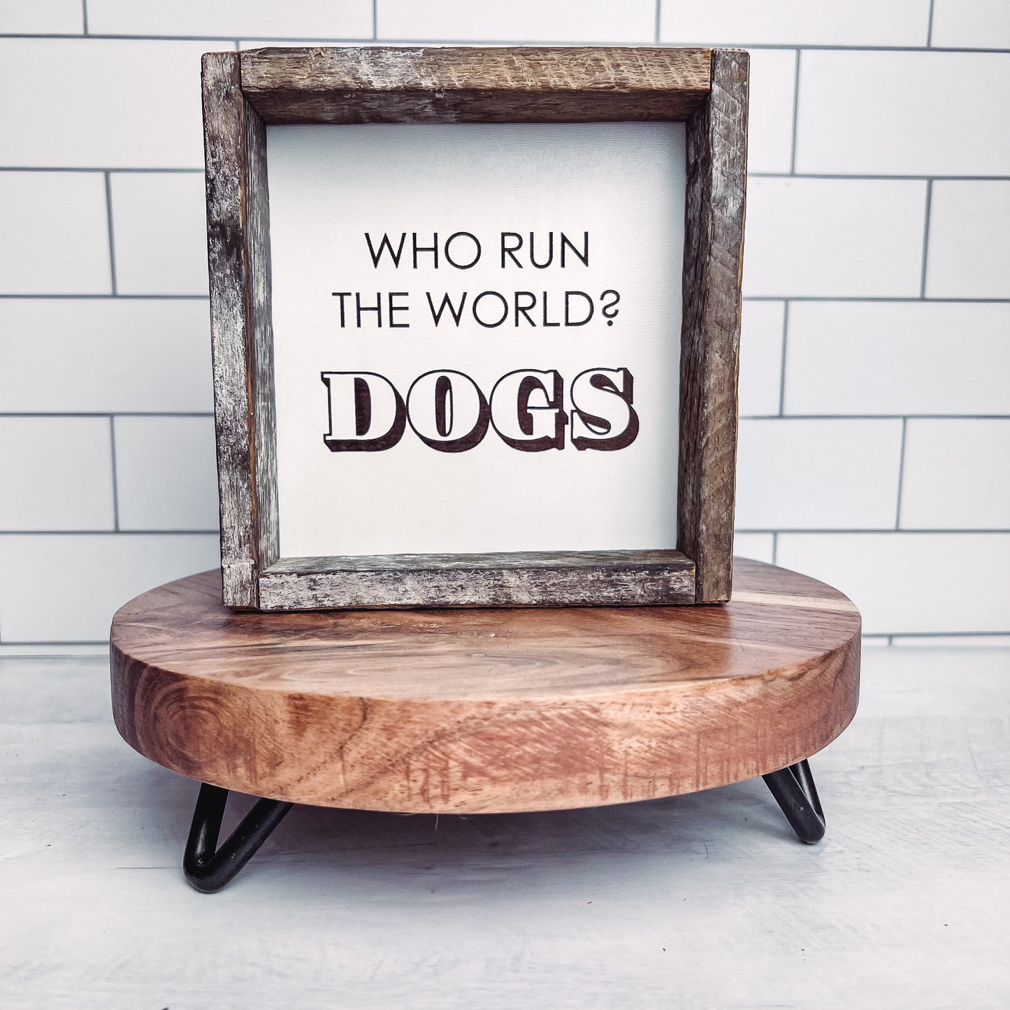 Who Run the World… Dogs Shelf Sitter